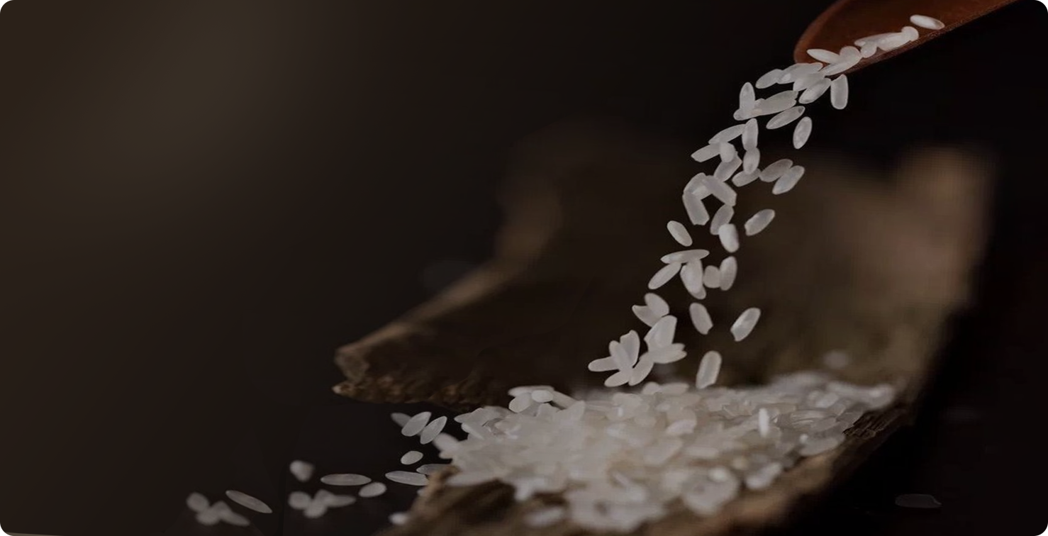 在每一粒稻米的低语中听见家的声音